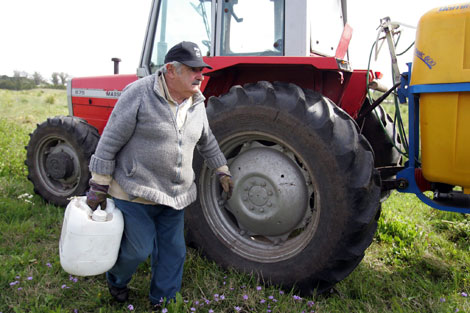 José Mujica trabaja en sus tierras después de votar. | Efe
