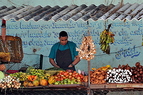 Puesto de frutas y verduras en un mercado de La Habana. | Efe