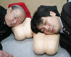 cochino cochino