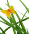 Ir al blog