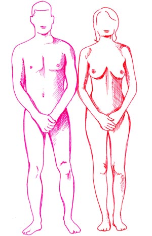 adicto a las prostitutas femenino de varon adicto a las prostitutas femenino de varon