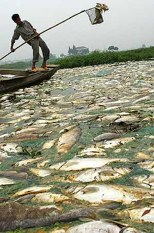 contaminantes del agua