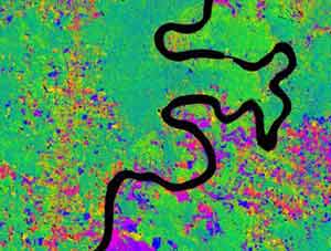Fotografía por satélite de la selva tropical peruana. Las zonas azules y rojas son áreas de deforestación (Foto: Carnegie Institution) Fotografía por satélite de la selva tropical peruana. Las zonas azules y rojas son áreas de deforestación (Foto: Carnegie Institution)
