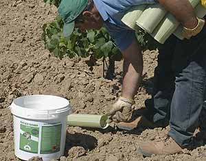 Un agricultor castellano deposita veneno cerca de una vid (Foto: EFE)