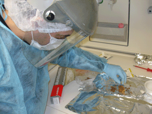 Carles Lalueza trabajando con los fósiles de neandertal (FOTO: C. Lalueza)