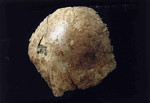 Calavera humana encontrada en la provincia china de Henan. (Foto: REUTERS)