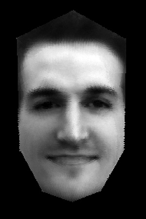 Imagen compuesta por 20 retratos distintos de una persona (Foto: Science)