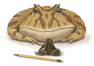 Ilustración del animal. (Foto: AP)