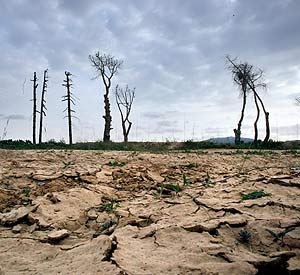 Las reservas de agua en Cataluña son mínimas. (EFE)