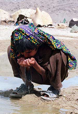 agua agua