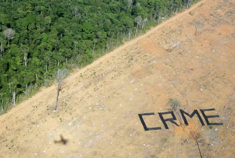 Imagen de archivo de una protesta de Greenpeace contra la deforestación evidente en la selva amazónica brasileña. (Foto: REUTERS)