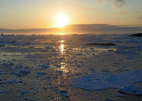 El océano glacial Ártico. | National Geografic