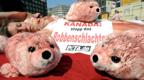 Varios peluches de cría de foca y un cartel con la leyenda "Canadá: ¡Acaba con el sacrificio de focas!", durante una protesta convocada por la organización en defensa de los animales PETA en Hamburgo (Alemania). | Efe