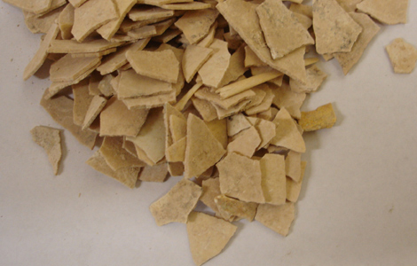 Restos de f�siles de huevo de moa. | Foto: Charlotte Oskam