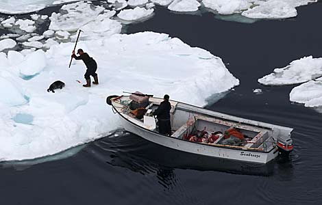 Cazadores de focas en el primer día de la campaña 2010. | AFP