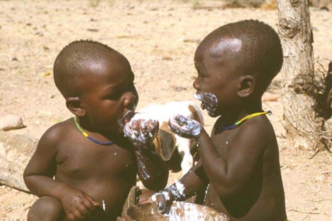 VIDA AFRICANA vida africana:
