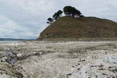 Plataforma marina elevada en el sur de Chile debido al terremoto. | Science