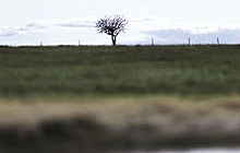 [foto de la noticia]