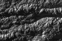 "Rayas de tigre" en Encélado. | NASA,JPL,SSI "Rayas de tigre" en Encélado. | NASA,JPL,SSI