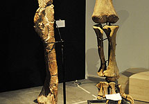 [foto de la noticia]