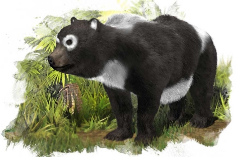 Recreación del oso panda gigante primitivo de Aragón. |José Antonio Peñas|SINC