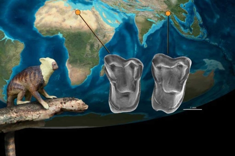 Mapa de las localizaciones donde han encontrado los molares.| PNAS