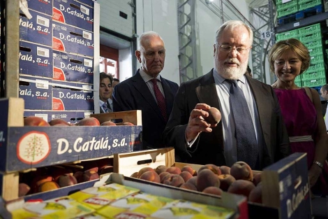 Arias Cañete comprueba el estado de la fruta en su visita a un banco de alimentos. | G. Arroyo