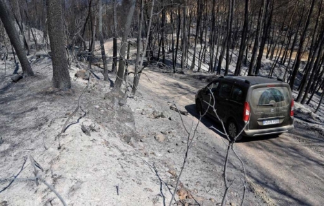 Cenizas y árboles calcinados acompañarán años al Empordà. | Eddy Kelele