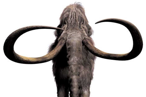 Recreación artística de un mamut. | El Mundo