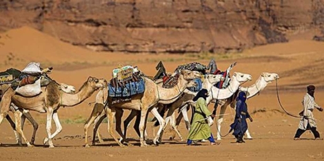 Tuaregs y camellos en el desierto de Libia. | Frank Lukassec