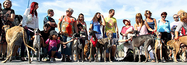 Varias personas pasean con sus galgos por el paseo de la Zurriola de San Sebastián. | Efe
