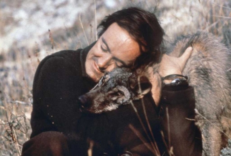 Félix Rodríguez de la Fuente con un lobo ibérico. | FRF
