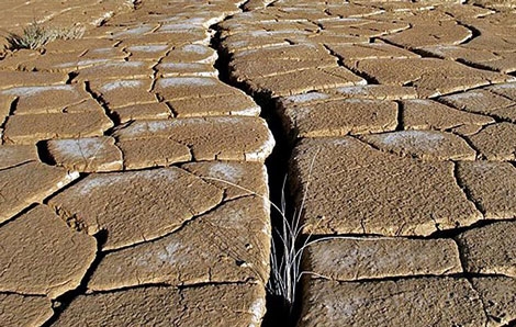 Sequía en las Bardenas Reales. | National Geographic