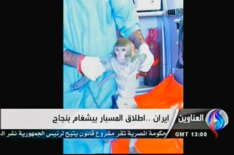 Imágenes del mono lanzado por Irán al espacio emitidas por el canal Al-Alam. | Afp