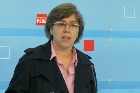 El PSOE pide crear una Sociedad de Gestión y Promoción de VPO en alquiler