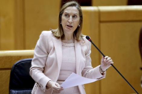 La ministra de Fomento, Ana Pastor, durante su intervención en el Senado. | Efe