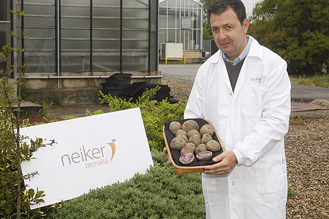 José Ignacio Ruiz de Galarreta, responsable del área de Genética Vegetal de Neiker-Tecnalia.