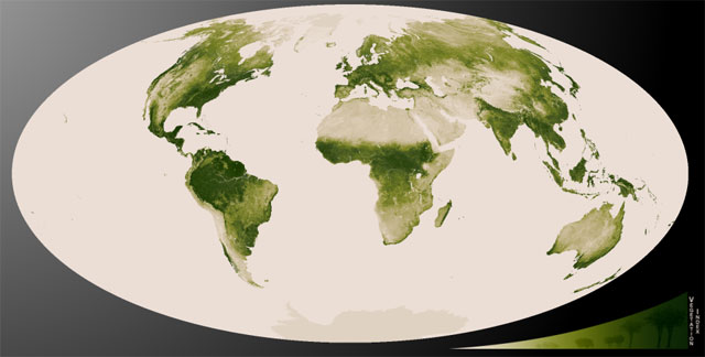 Mapa de la vegetación de la Tierra elaborado por el satélite Suomi NPP. | NASA