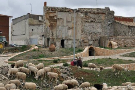 El pueblo más envejecido de España adjudica el 70% de sus solares a precio de ganga