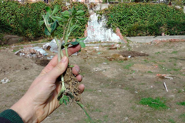 [foto de la noticia]