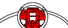 novedad