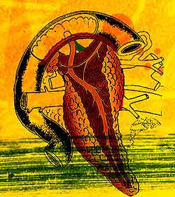 Cancer de pancreas Cancer de pancreas