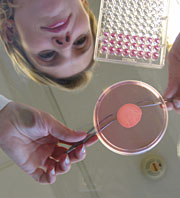 Una trabajadora de laboratorio maneja un fragmento de piel artificial (Foto: L'Oréal)