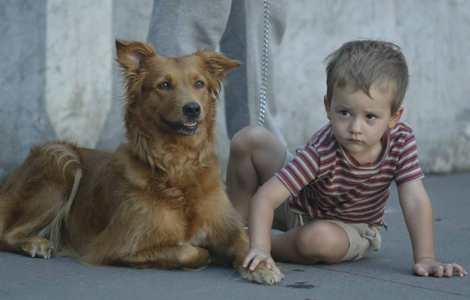 Un perro junto a un niño. | David de Haro.