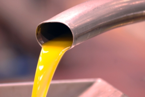 Producción de aceite de oliva extra en una almazara. | El Mundo