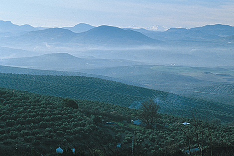 1276713019_0.jpg